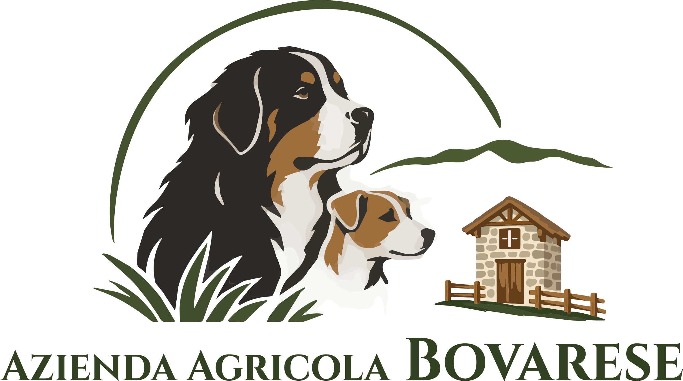 Bovarese | Azienda Agricola